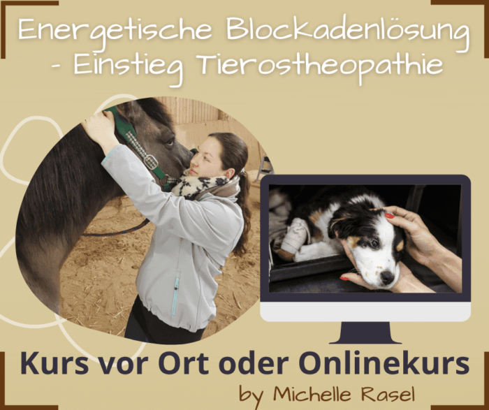 Blockaden lösen Tierostheopathie