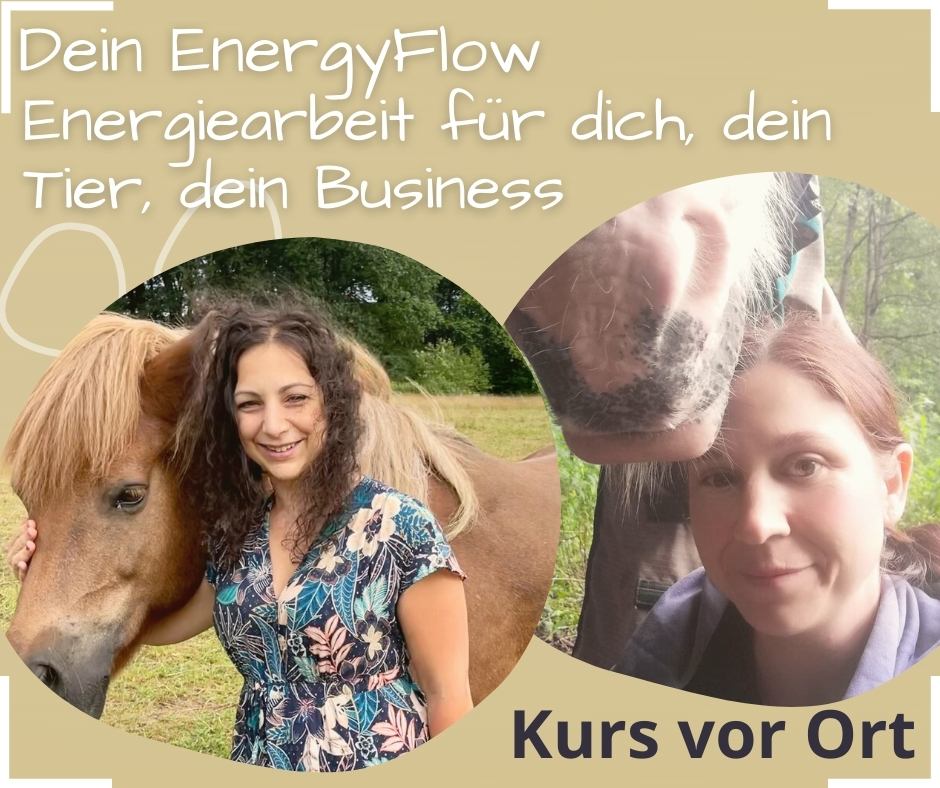Energiearbeit Tiere business