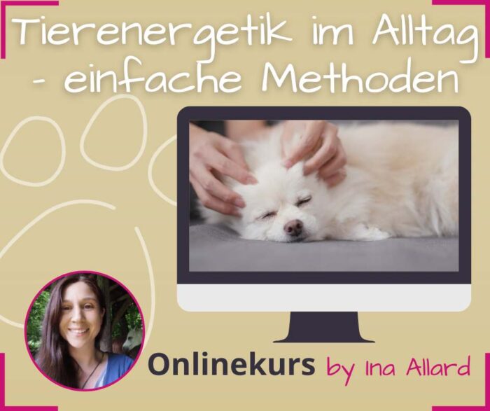 Energiearbeit im alltag