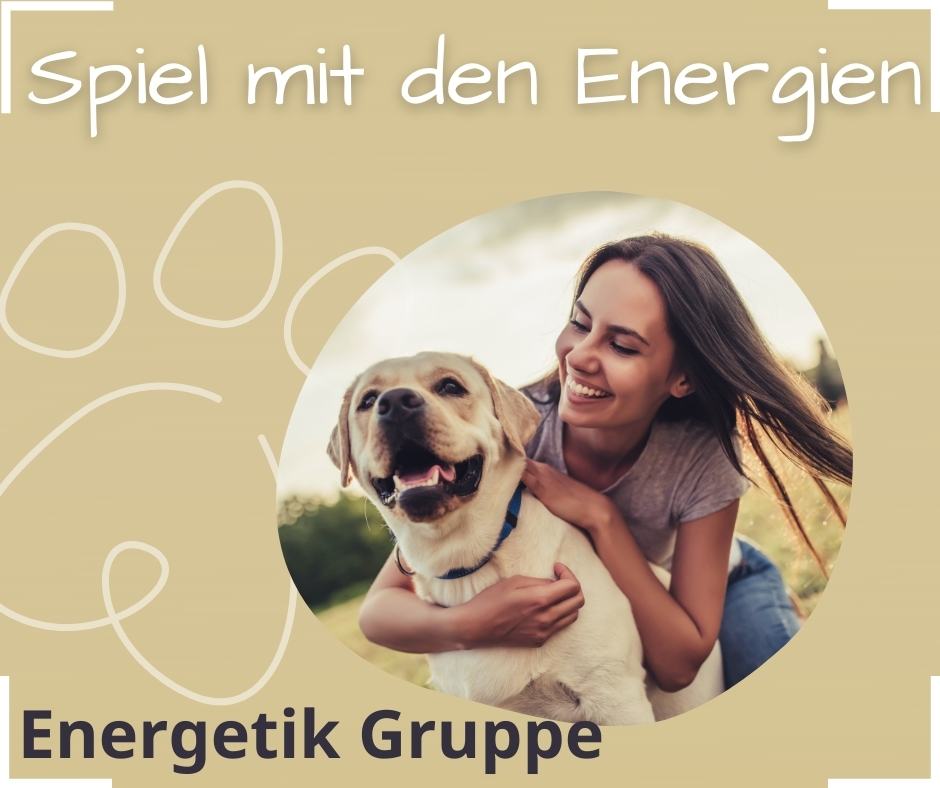 Energieübertragung energieübertragung mensch tier tierbusiness
