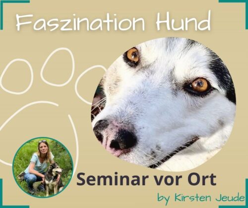 Faszination Hund Seminar