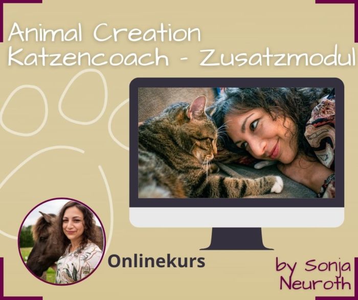 Katzencoach Animal Creation