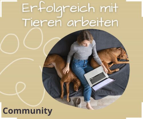 Erfolgreich mit Tieren arbeiten Community Tierberuf