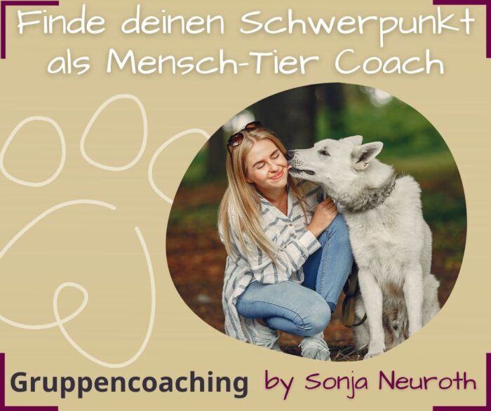 Mensch Tier Coach Schwerpunkt