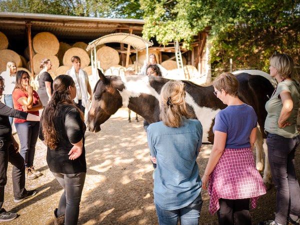 Tag der offenen Tür Pferd Tag der offenen Tür Tierakademie