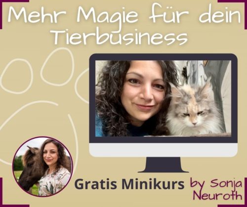 Tierbusiness Marketing gratis Kurs Tierberuf