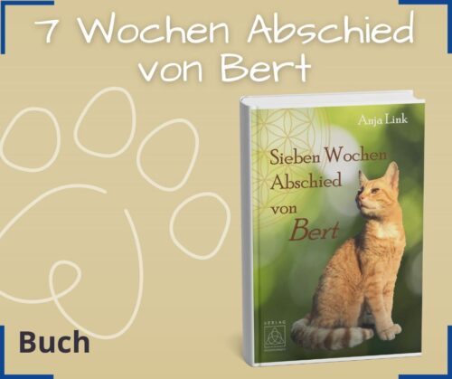 wenn eine Katze stirbt Abschied nehmen Buch