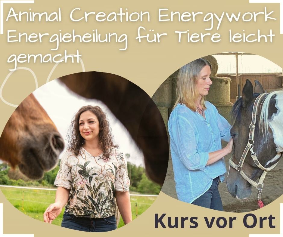 Energieheilung für Tiere Energieheilung für Tiere Animal Creation