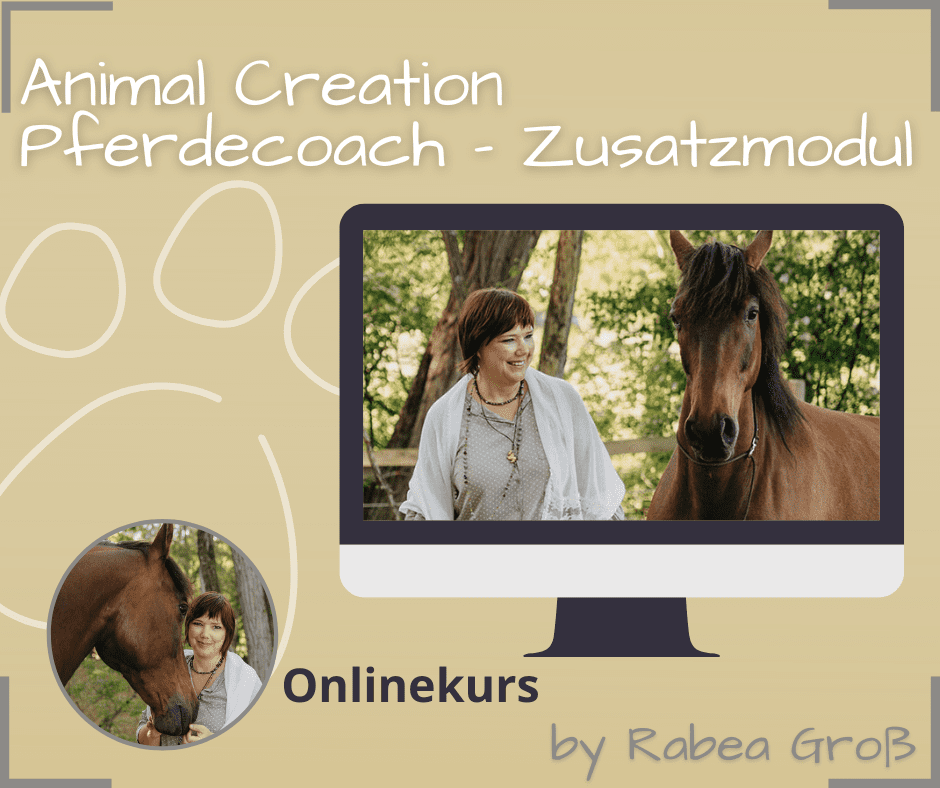 Pferdecoach Animal Creation