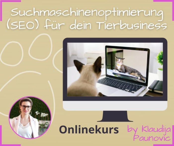 Suchmaschinenoptimierungg SEO lernen für Anfänger Tierbusiness